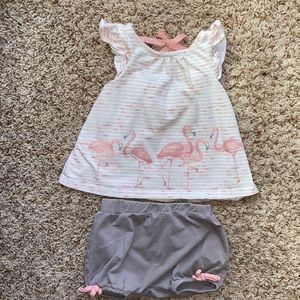 12M girls  flutter sleeve flamingo top and bubble hem shorts.